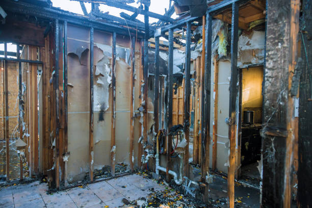 Professional Smoke Damage Removal technician working in Woodhaven, MI
